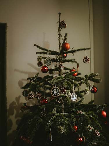 ornament Christmas tree with ornaments plant